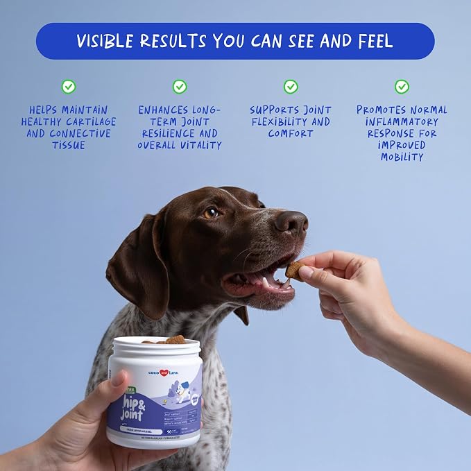 Hip & Joint for Dogs - Collagen, Glucosamine & Green Lipped Mussel