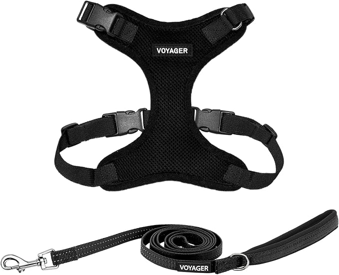 Best Pet Supplies Voyager Step-in Lock Pet Harness w Reflective Pet Leash Combo Set with Neoprene Handle 5ft - Supports Small, Medium and Large Breed Puppies/Cats - Black Set, L