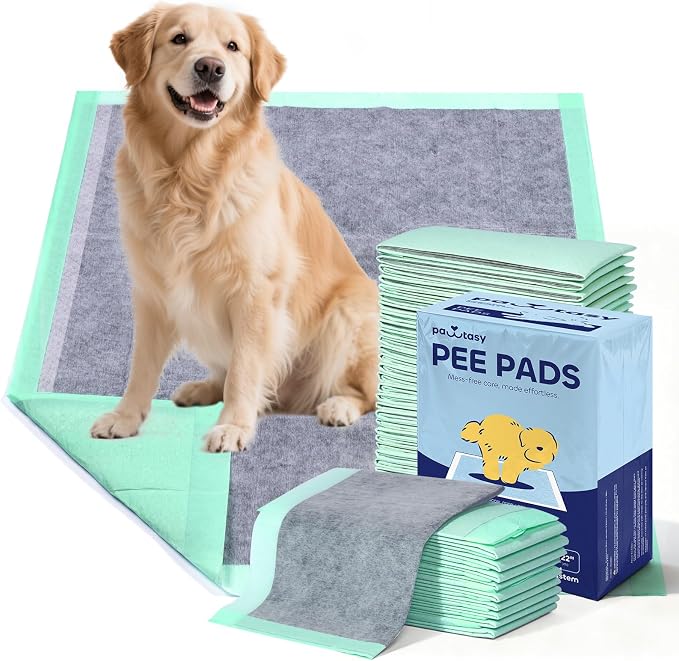 Pawtasy Charcoal Dog Pee Pads XXL, 30 Count,28" x 34" Extra Large Disposable Puppy Training Pads with Bamboo Charcoal Odor Control, 5-Layer Super Absorbent & Leak-Proof Pet Potty Pads for Dogs, Cats
