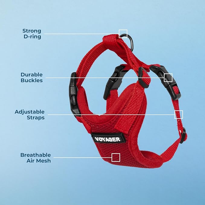 Voyager Step-in Lock Dog Harness - Red, Small | 15 - 18" in Chest, Adjustable, Breathable Air Mesh, Lightweight for Daily Walks, Strong Clips, Heavy Duty D-Ring