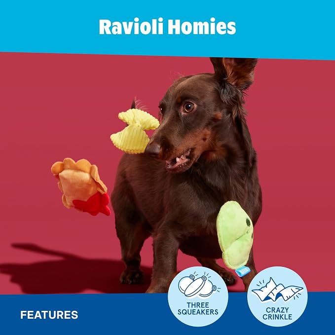 BarkBox Ravioli Homies Dog Toy - Toy for Extra Small to Small Dogs | Three-Piece Plush Pasta Set with Three Squeakers and Crinkle