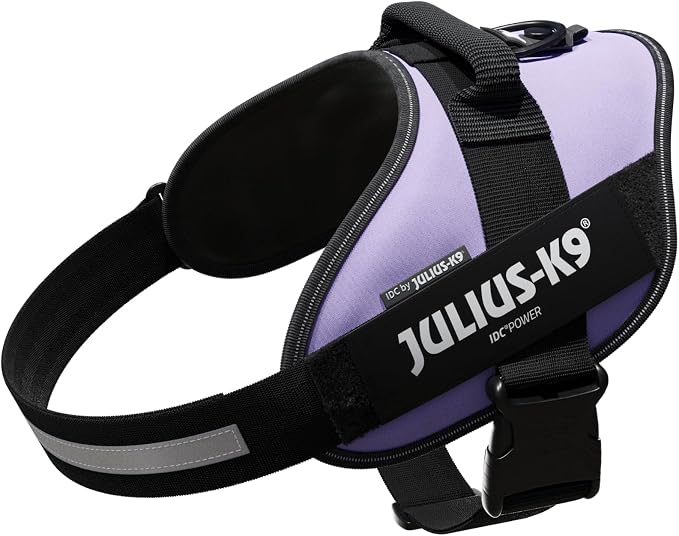 Julius-K9, 16IDC-PR-2, IDC Powerharness, Dog Harness, Size: 2, Purple