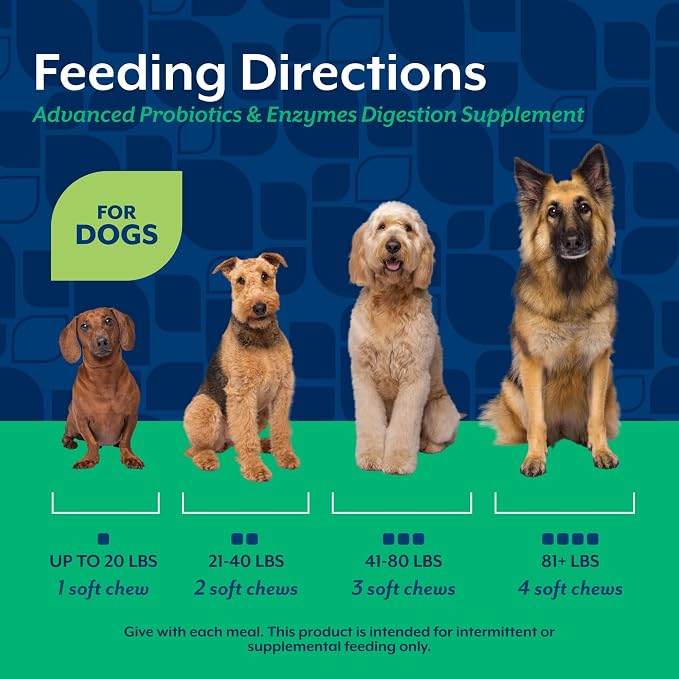 NaturVet Advanced Probiotics & Enzymes Chews for Dogs - 240ct