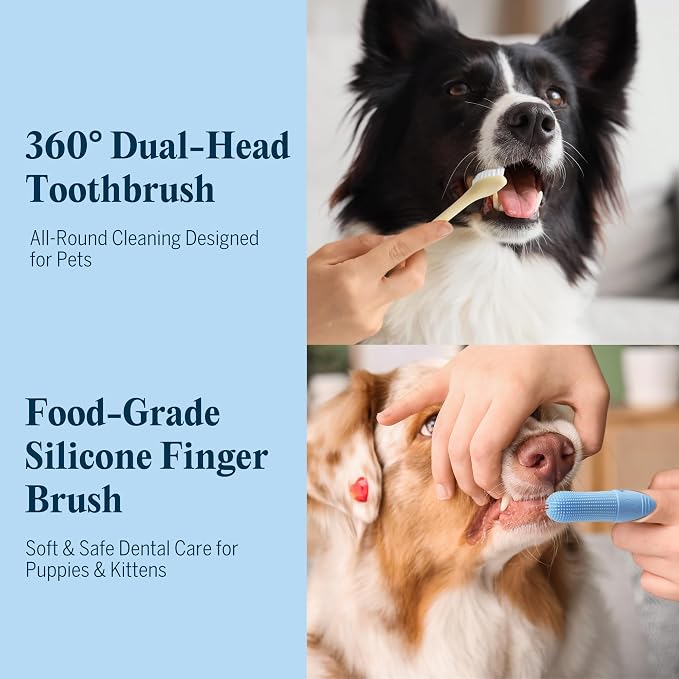 FlyDog Fresh Kiss Nano-HAp Dog Tooth Brushing Kit, Vet Approved Remineralizing Formula for Dogs & Cats - Rebuild Enamel, Remove Tartar & Plaque, 360° Toothbrush & Silicone Finger Brush (Peanut Butter)