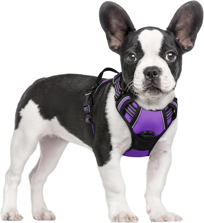 rabbitgoo Dog Harness, No Pull for Small Dogs with 2 Leash Clips, Pet Vest | No Choke with Handle, Adjustable Soft Padded, Reflective, Easy Control for Walking, Purple, Small