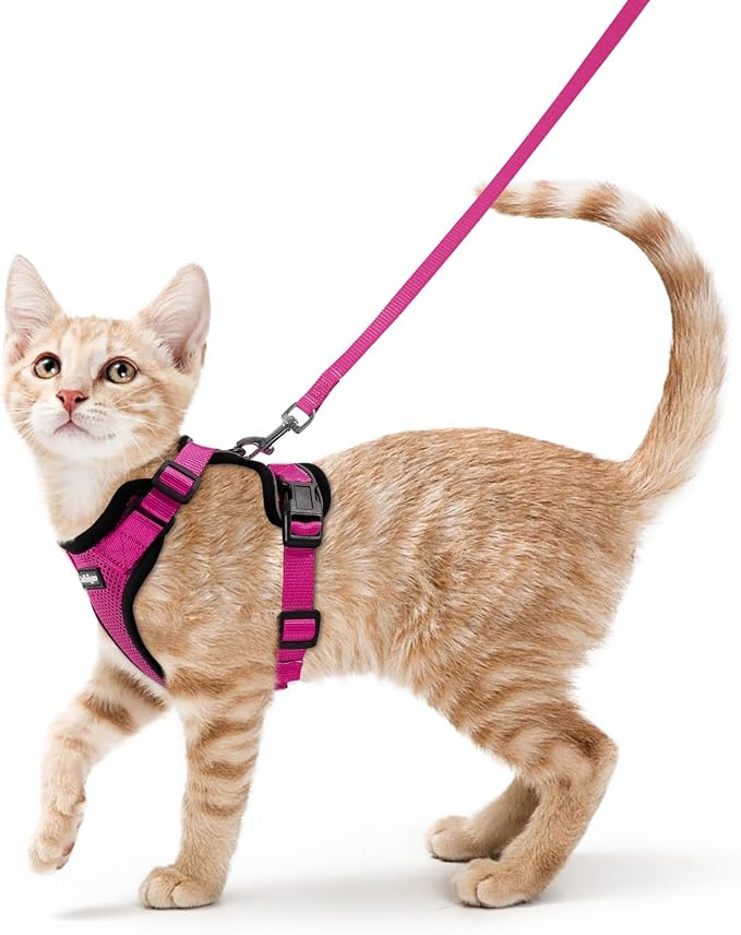 rabbitgoo Cat Harness and Leash Set, Escape Proof Vest, Rose Red | Soft Breathable Mesh, Easy Adjustable Fit, Snap Buckles, Sturdy Clip, Reflective Strips, for Average Cats Walks, S