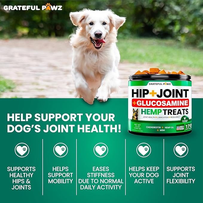 (2 Pack) Hemp Hip and Joint Supplement for Dogs - Glucosamine for Dogs