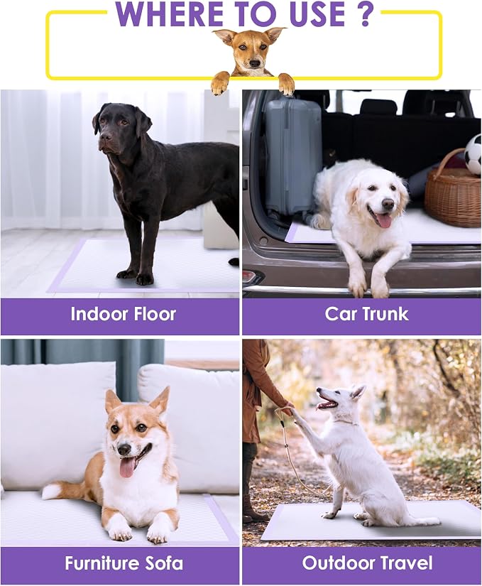 JollyMate 28"x34" Extra Large Dog Pee Pads, 30 Counts Leak-Proof Heavy Absorbent Pee Pads for Dogs, Quick Dry Disposable Dog Training Pads