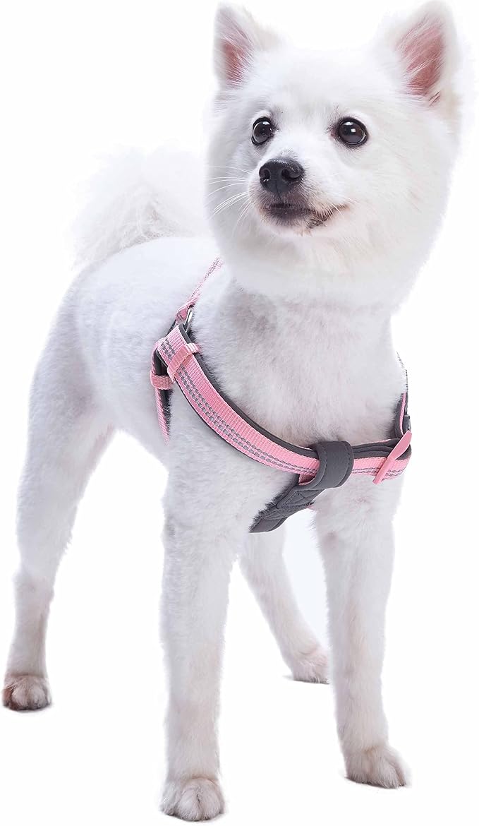 Blueberry Pet Soft & Comfy 3M Reflective Step-in Pastel Color Padded Dog Harness, Chest Girth 19.5" - 25.5", Baby Pink, Medium, Adjustable Harnesses for Dogs