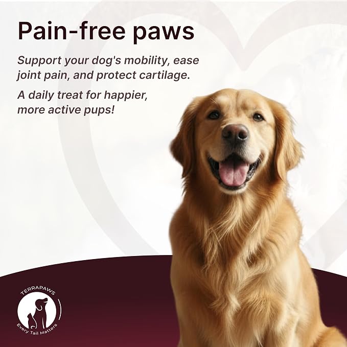 Hip & Joint Supplement for Dogs – Mobility Support with Glucosamine, Chondroitin, MSM, Turmeric, Mussel, Hemp Dog Joint Pain Relief – 120 Soft Chews for Large, Medium, Small Dogs Breeds– Beef Flavor