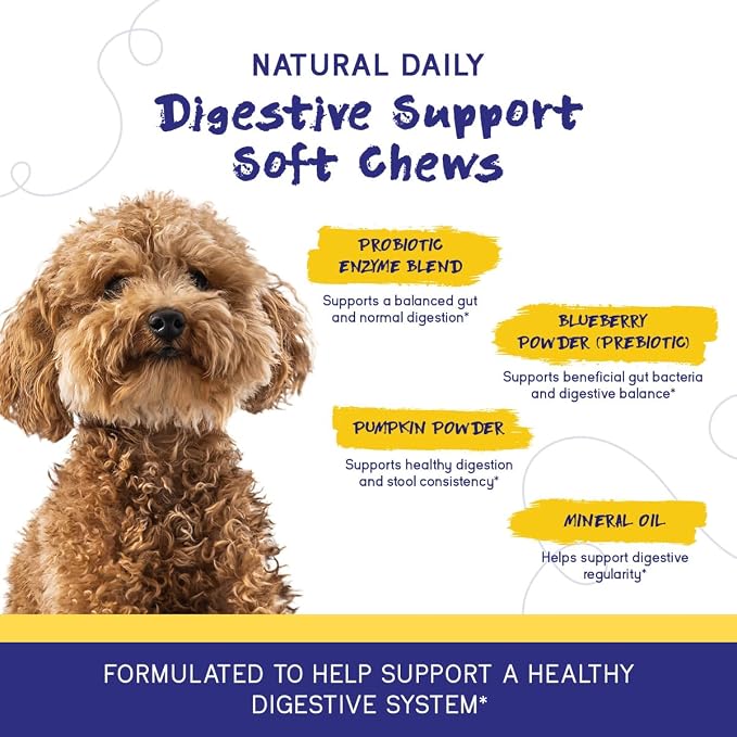 PupGrade Digestive Support for Dogs, Peanut Butter Flavor - 120 Soft Chews