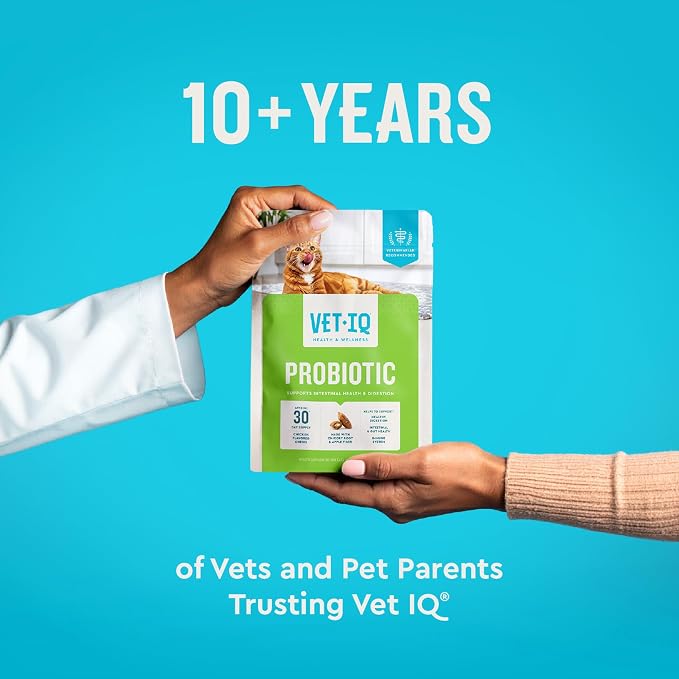 VetIQ Cat Probiotics, Digestive & Gut Health Treats, 3.7oz