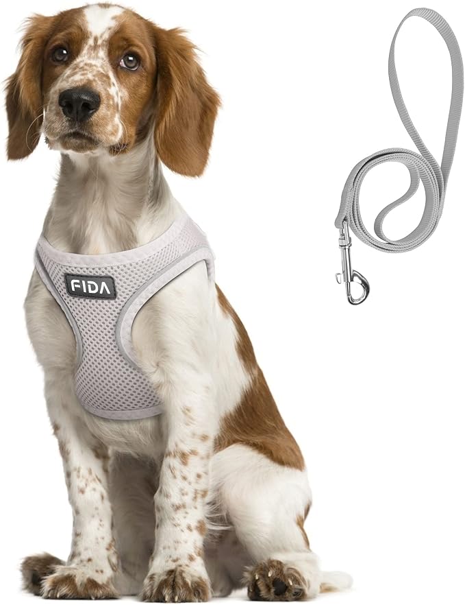 Fida Comfy Dog Harness with Leash, Soft Puppy Vest Escape Proof, Breathable Lightweight Soft Mesh, Adjustable Reflective Step-in Harness for Medium & Large Pet Walking (L, Grey)