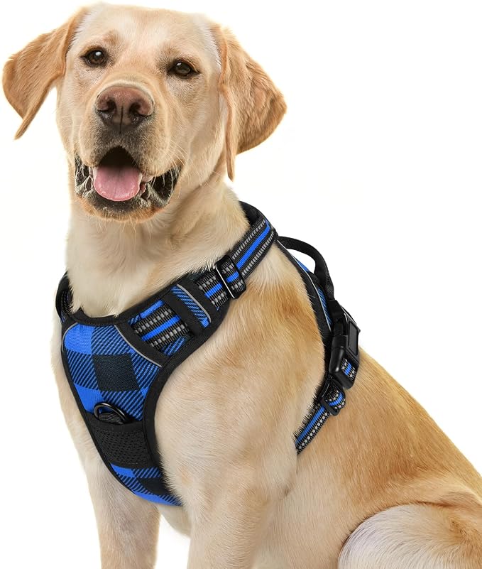 rabbitgoo Dog Harness, No Pull for Large Dogs with 2 Leash Clips, Pet Vest | No Choke with Handle, Adjustable Soft Padded, Reflective, Easy Control for Walking, Blue Plaid, Small