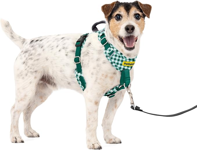 PetSafe Easy Walk Comfort No Pull Dog Harness, Green Gringham, Small | Stops Pulling on First Use with Front Martingale Loop, Padded Comfort, 5-Point Adjustable Fit