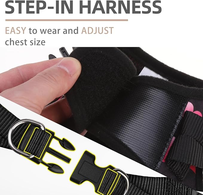 PUPTECK Dog Harness and Leash Set for Small Medium Dogs No Pull Step-in Soft Mesh Puppy Cat Vest Valentine Harnesses Reflective at Night, Black&Pink Heart, XS