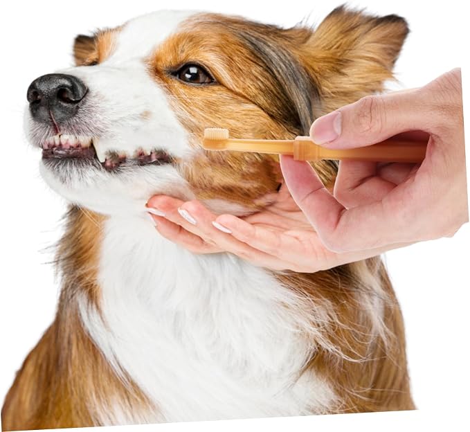 VICASKY Silicone Pet Toothbrush Double Headed Soft Bristles for Dogs and Cats Gentle Oral Cleaning Tool for Canine Plaque Removal and Fresh Breath Handheld Puppy Teeth Brushing Kit