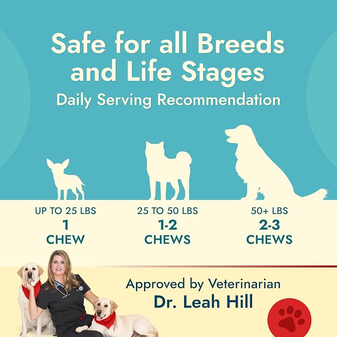 Pet Vet Multi Soft Chews for Dogs Beef Liver 60ct – 6-in-1 Support