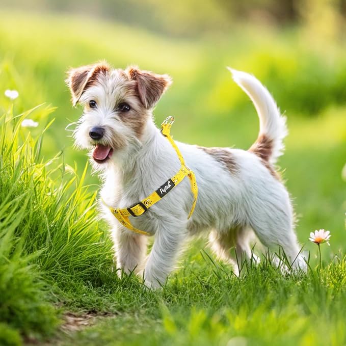 PUPTECK No Pull Dog Harness Medium Sized Step-in Adjustable Puppy Vest | Soft Webbing Basic Halter with ID Tag for Outdoor Walking