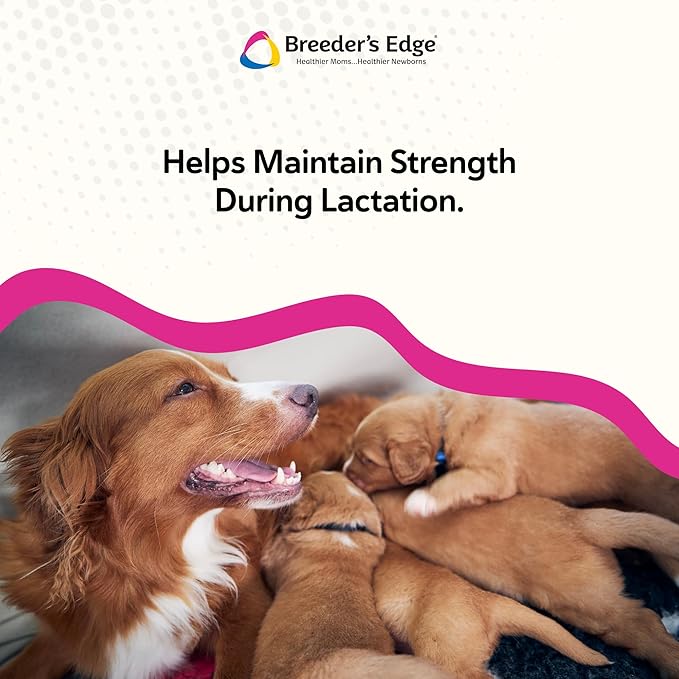 Breeder's Edge Oral Cal Plus Powder for Dogs & Cats, Lactation Support 300g