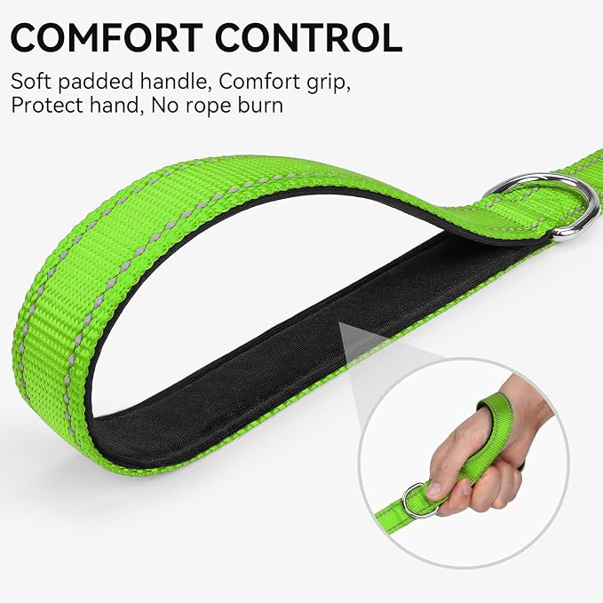 Joytale Reflective Dog Leash for Small Dogs, 4 FT x 3/4", Green | Heavy Duty Nylon Webbing, Padded Handle for Comfort, Visible at Night, for Walking & Training