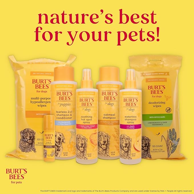 Burts Bees for Pets Itch Soothing Dog Shampoo, Honeysuckle, 16 Fl Oz, 6-Pk
