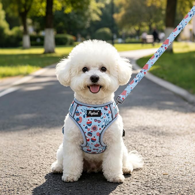 PUPTECK Dog Harness and Leash Set, No Pull Adjustable Pet Small Dog Harness, Reflective Soft Mesh Pet Vest, for Small Medium Dogs Walking, Light Blue, S