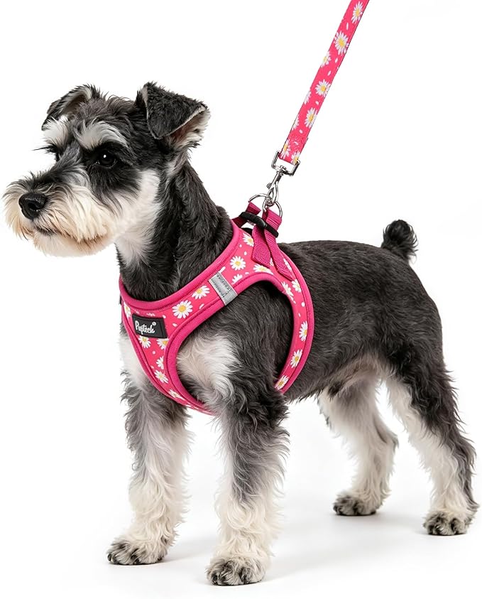 PUPTECK Dog Harness and Leash Set for Small Medium Dogs No Pull Step-in Soft Mesh Puppy Cat Vest Harnesses Reflective at Night, Fuchsia Daisy, S
