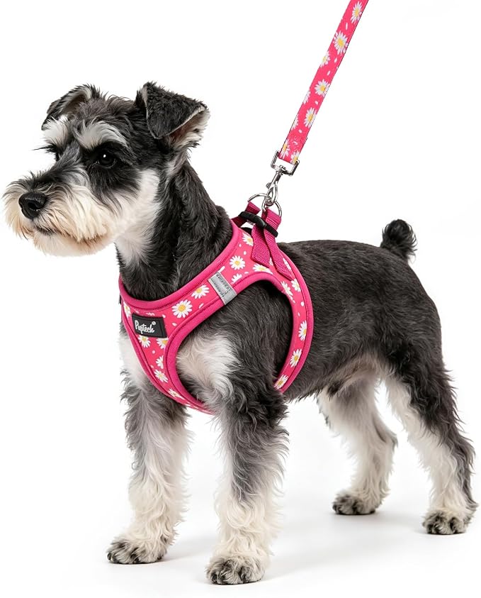 PUPTECK Dog Harness and Leash Set for Small Medium Dogs No Pull Step-in Soft Mesh Puppy Cat Vest Harnesses Reflective at Night, Fuchsia Daisy, M