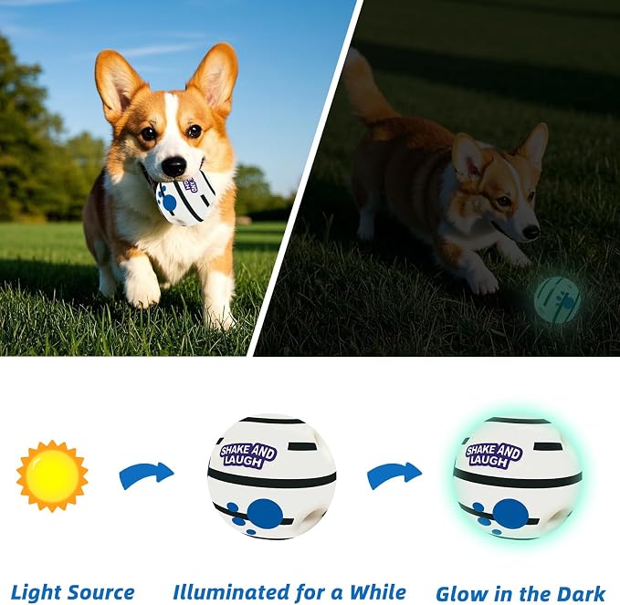 Glow in The Dark Dog Toys Ball, L, 3.94 in (10 cm) | Interactive, Shaking with Gibbering Sound