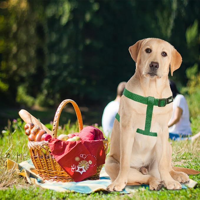 PUPTECK No Pull Dog Harness Medium Sized Step-in Adjustable Puppy Vest | Soft Webbing Basic Halter with ID Tag for Outdoor Walking