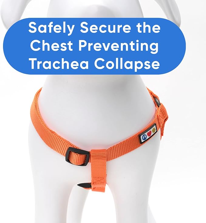 Pawtitas Solid Step-in Dog Harness – Adjustable No-Pull Vest for Puppies to Seniors, Safe & Comfortable XS Orange