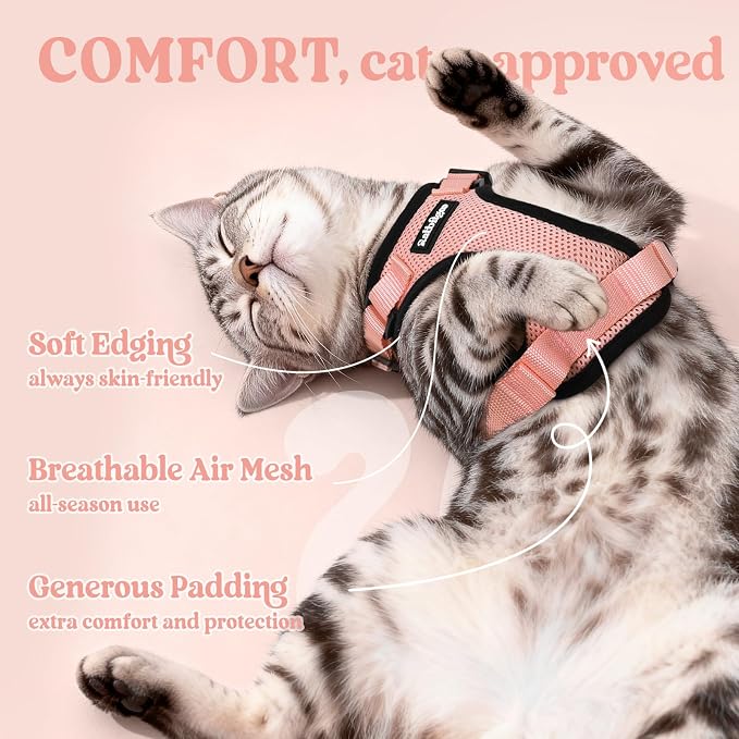 rabbitgoo Cat Harness and Leash Set, Escape Proof Vest, Light Salmon Pink | Soft Breathable Mesh, Easy Adjustable Fit, Snap Buckles, Sturdy Clip, Reflective Strips, for Small & Average Cats Walks, Xs