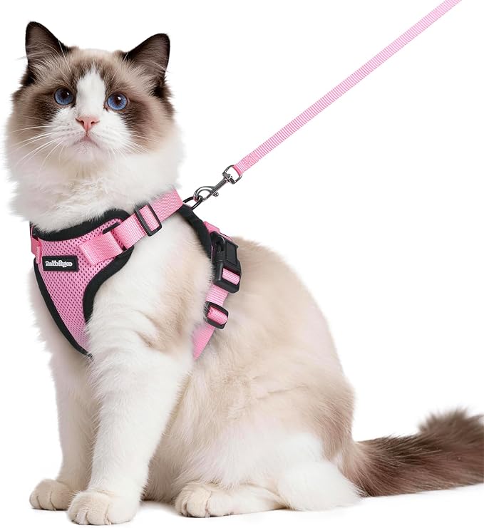 rabbitgoo Cat Harness and Leash Set, Escape Proof Vest, Pink | Soft Breathable Mesh, Easy Adjustable Fit, Snap Buckles, Sturdy Clip, Reflective Strips, for Medium to Large Cats Walks, M