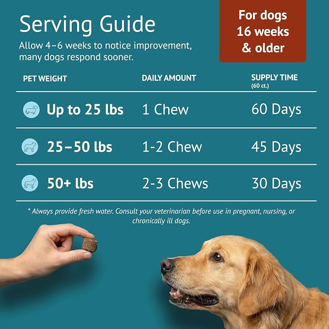 Hip and Joint Supplement for Dogs - Glucosamine, Chondroitin & MSM with Collagen, Boswellia & Devils Claw - 6g Per Chew - Made in USA - 60 Count