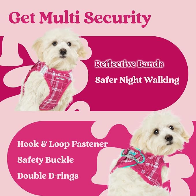 rabbitgoo Step-in Small Dog Harness, Puppy Vest for Small Sized Pet | Easy Put on and off, Lightweight, Soft, Breathable Quick-Dry Air Mesh for Comfortable Secure Walking, Rose Red Plaid XS