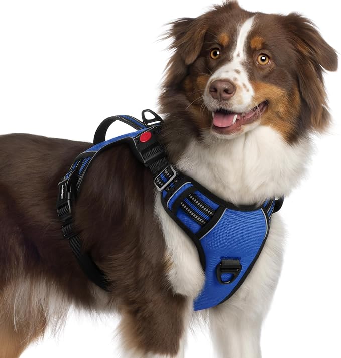 rabbitgoo Large Dog Harness, Easy Wear with 3 Buckles and Lift Handle | No Pull with Front Clip for Walking, Adjustable Soft Padded, Reflective, Easy Control, Blue, X-Large