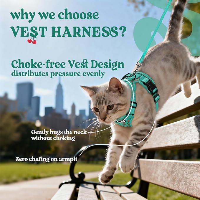 rabbitgoo Cat Harness and Leash Set, Escape Proof Vest, Cherry Grove | Soft Breathable Mesh, Easy Adjustable Fit, Snap Buckles, Sturdy Clip, Reflective Strips, for Kittens & Small Cats Walks, Xxs