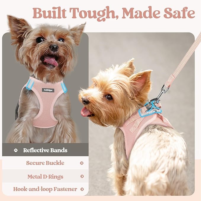 rabbitgoo Dog Harness Medium Sized and Leash Set, Step-in Puppy Pet Vest | Light, Soft, Breathable Air Mesh, Easy on and Remove with Hook & Loop, Secure Reflective for Walking, Pink XXL