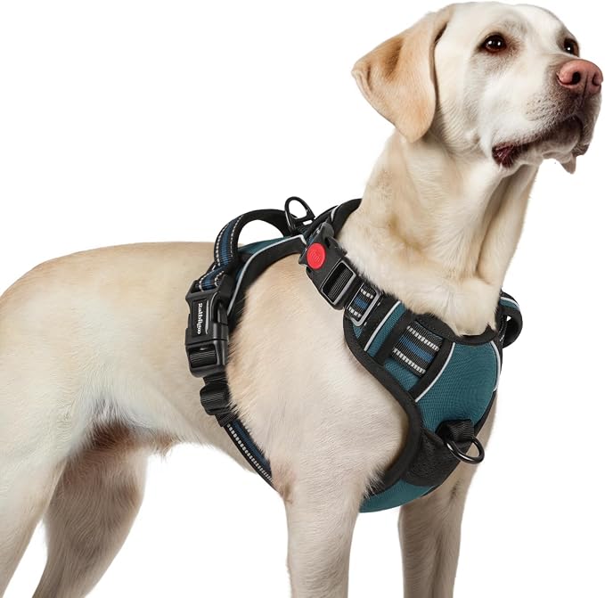 rabbitgoo Dog Harness for Large, Updated Easy On & Off with 3 Buckles | No Pull No Choke, Walking with 2 Clips and Handle, Adjustable Soft Reflective, Blue Coral, Large