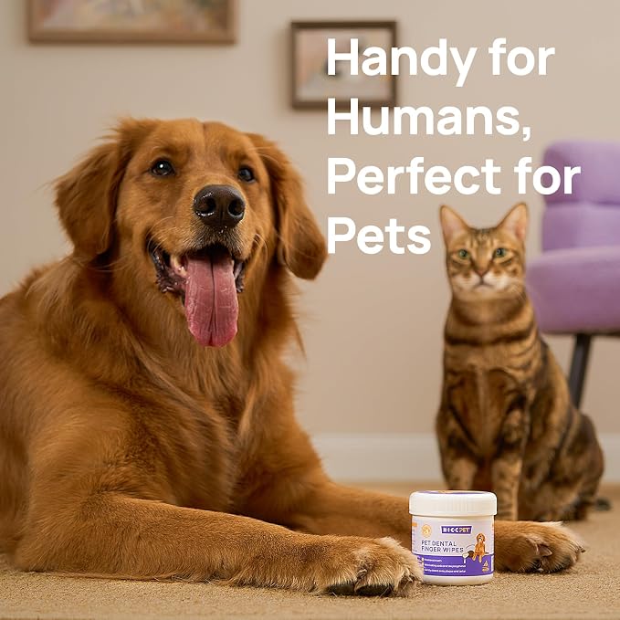 HICC PET Teeth Cleaning Wipes for Dogs & Cats, Remove Bad Breath by Removing Plaque and Tartar Buildup No-Rinse Dog Finger Toothbrush, Disposable Gentle Cleaning & Gum Care Pet Wipes, 50 Counts