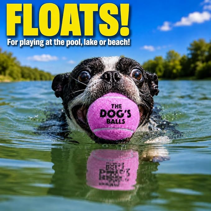 The Little Dog’s Balls Small Dog Tennis Balls 6-Pack Purple Floats in Water | Our fetch balls combine non-abrasive felt exterior and a thicker rubber core Durable Dog Toy for Outdoor Play & Training