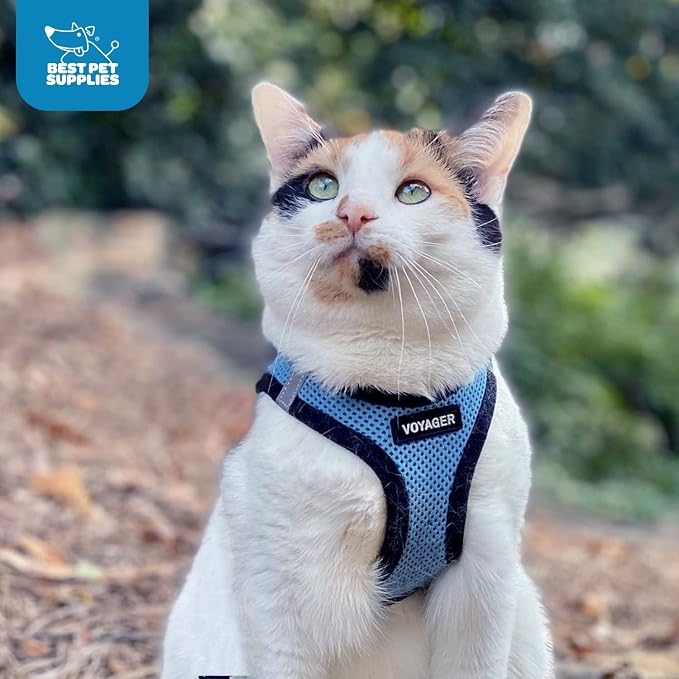 Voyager Step-in Air Dog Vest Harness - Baby Blue/Black Trim, XX-Small | 12 - 13.5" in Chest, Reflective Bands, All Weather Breathable Air Mesh, Cats Compatible, Lightweight, Fast Drying