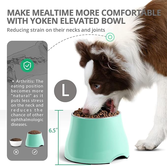 Fluffydream Elevated Dog Bowls, Prevention of Vertebrae Disease, Super Non-Slip, Stainless Steel Bowl, High Capacity, Colorful Raised Dog Bowls for Medium/Small Size Dogs