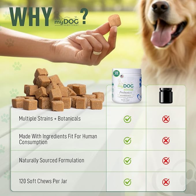 Probiotics for Dogs – 120 Soft Chews, Bacon Flavor | Digestive Enzymes, Gut Health & Immune Support with Pumpkin Seed & Ginger | for All Breeds