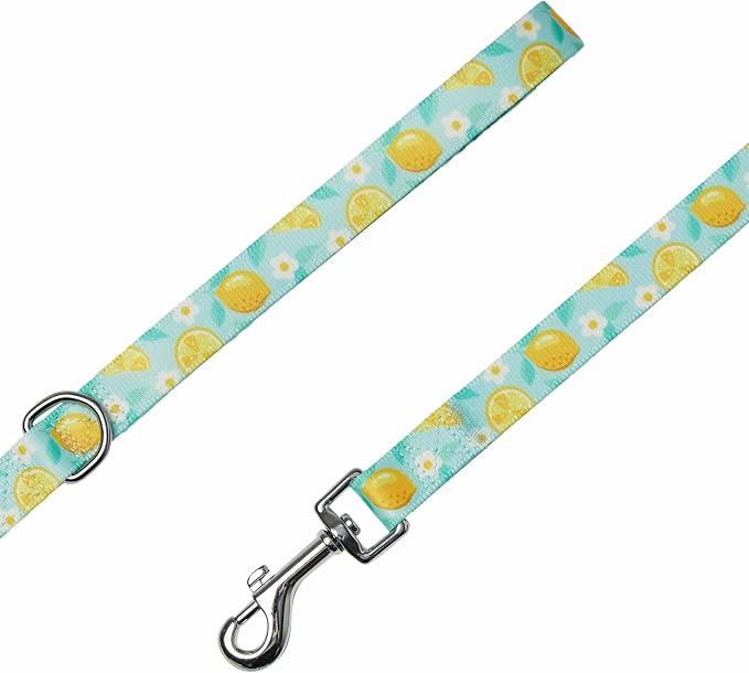 Blueberry Pet Zesty Fruit Collection Refreshing Lemon Dog Leash, Medium Size, 3/4” Width x 5 ft Length, Durable Stylish Pet Leash