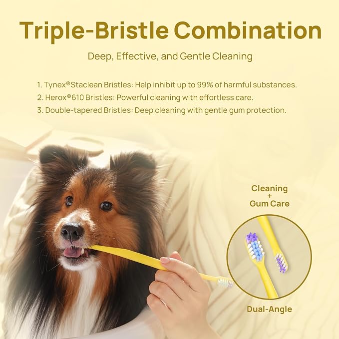 HICC PET Toothbrush for Dogs & Large Cats, Vet-Recommended Ergonomic Pet Toothbrush for Easy Teeth Cleaning, Gentle on Gums, Cat & Dog Dental Care, Improves Oral Hygiene. Toothpaste Not Included