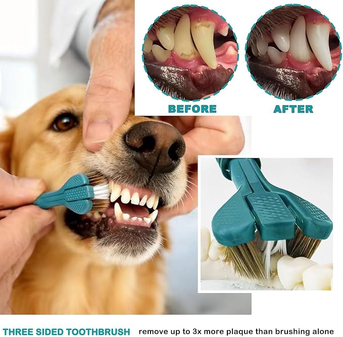 Dog Toothbrush Kit, 360-Degree Finger Three-Sided Design, Replaceable Brush Heads, Easy Teeth Cleaning and Dental Care (20 Pack)