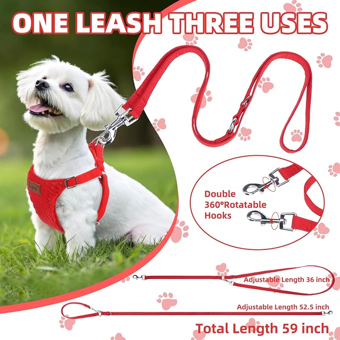 PUPTECK Dog Harness and Leash Set Small Sized, Lightweight Step-in Puppy Harness, Escape Proof No Pull Cute Pet Vest Harnesses, Red S