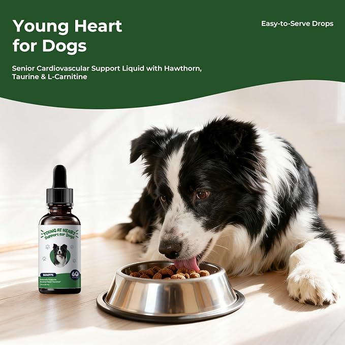 Young Heart for Dogs, Senior Cardiovascular Support, Taurine Drops